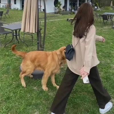 巴格达咖啡馆
